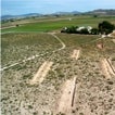 Científicos descubren un campo de dunas de la Edad del Hielo datado hace más de 15.000 años en Villena
