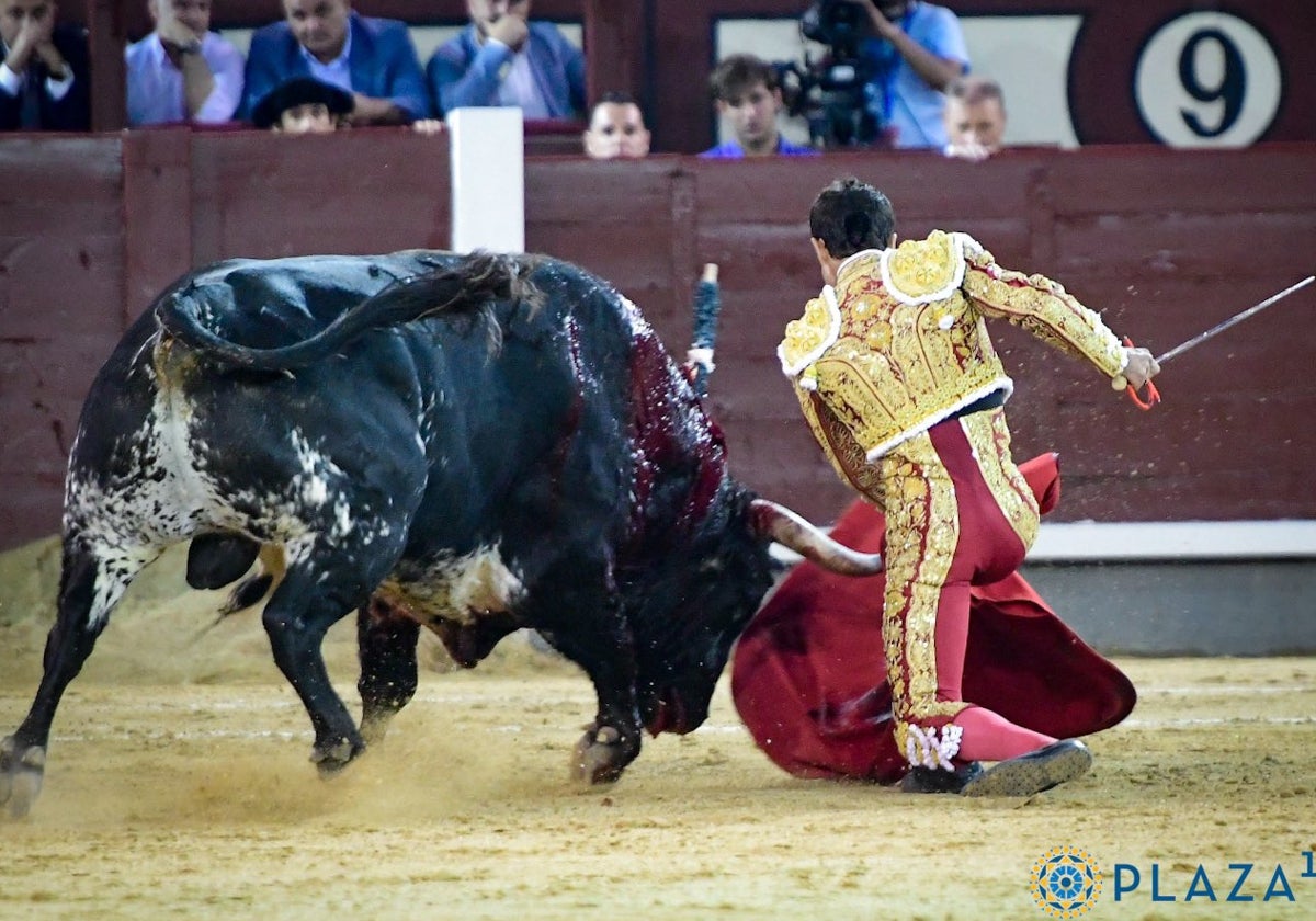 Un par de banderillas y seis mansos 