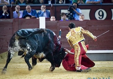 Feria de Otoño: así se va a la guerra de los mansos