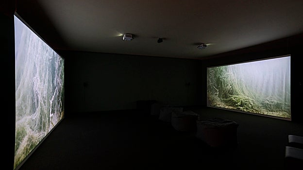 Obras de la exposición