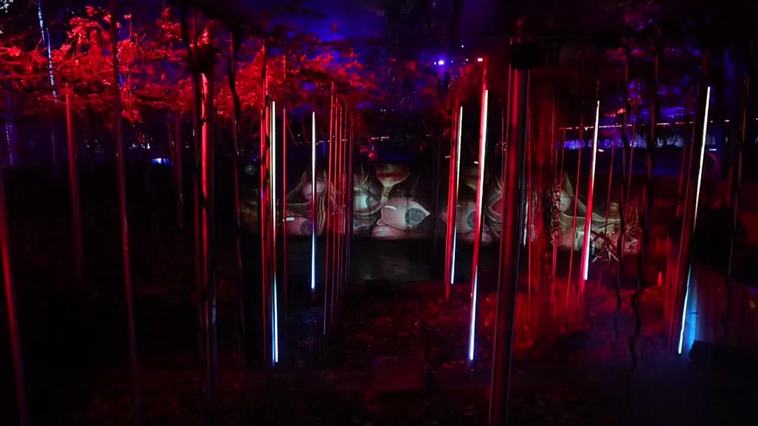 París se sumerge en el universo surrealista de Dalí a través de un espectáculo de luces