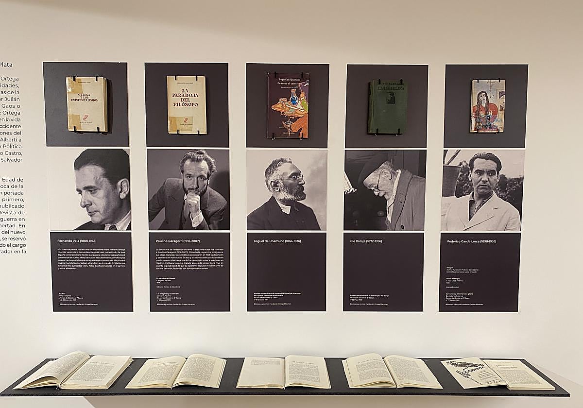 Uno de los panales de la exposición '¡Claridad, claridad!'