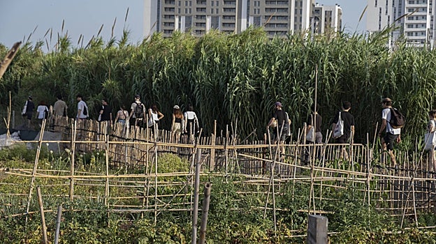 Imagen de 'Recto para llegar al oasis', actividad con Álvaro Porras en la primera edición de 'Art i Context'