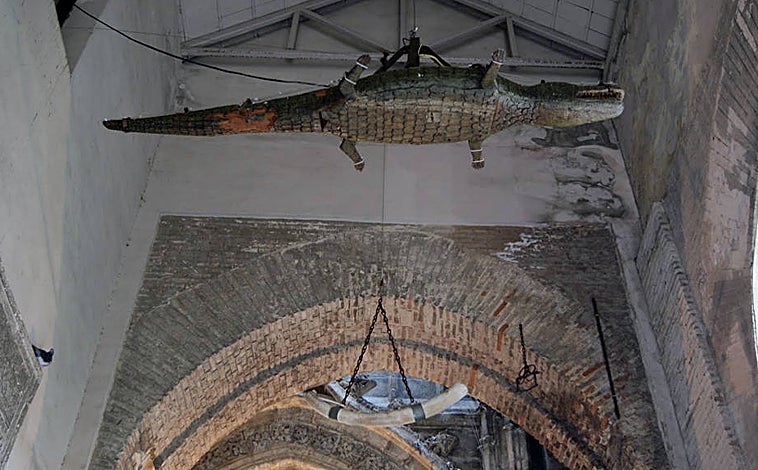 Imagen principal - En la parte superior, el cocodrilo que se conserva en la Catedral de Sevilla. Arriba de izquierda a derecha, una de las vitrinas de la galería de los horrores de la Kuntstkamera de San Petersburgo y las 168 toneladas del inmenso dios Tláloc que hoy recibe a los visitantes en la puertas del Museo Nacional de Antropología de México