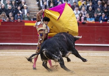 Estos son los carteles oficiales de la Feria de Fallas 2024