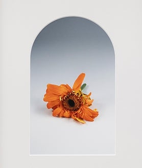 Imagen secundaria 2 - Arriba, 'Chest'. Sobre estas líneas, dos imágenes de la serie 'Putrido', de la artista lisboeta