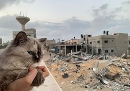 '108 días', de Lydia Ourahmane en el MACBA: Sola no puedes, con amigos sí