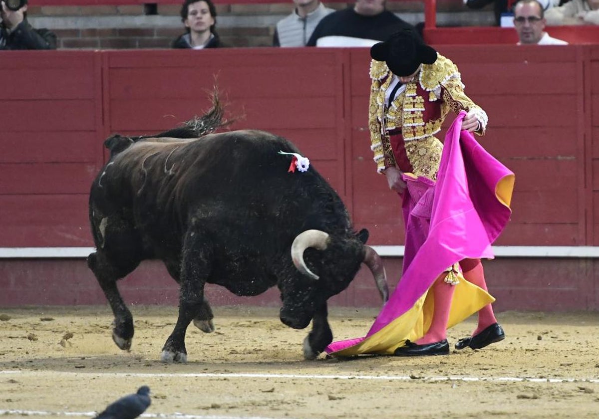 La verónica de Juan Ortega al quinto, con la paloma de testigo