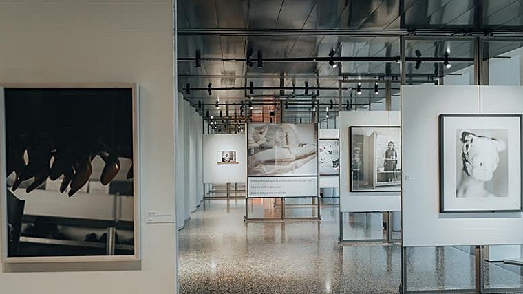 Obras de la colección de la Fundación portuguesa PLMJ