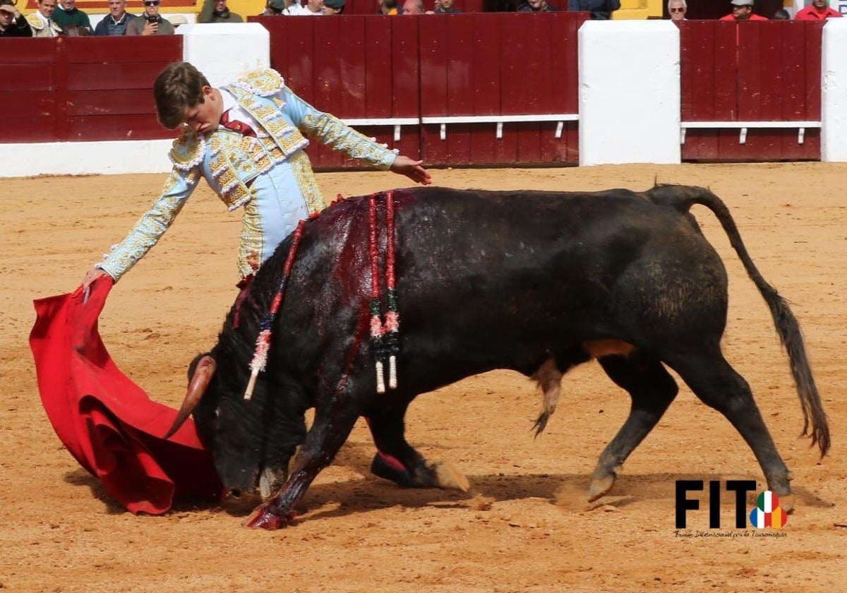 Javier Zulueta, en su debut con picadores en Olivenza