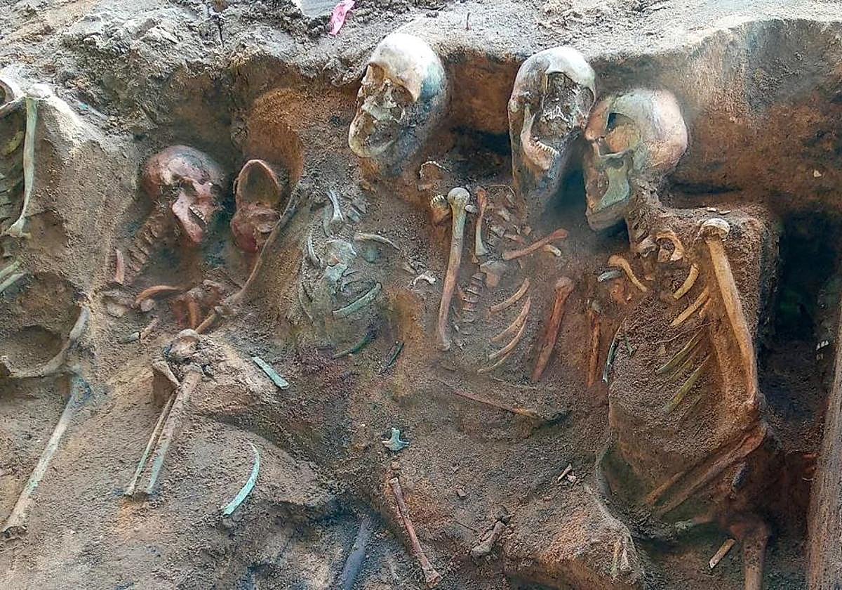 Esqueletos desenterrados en la fosa común