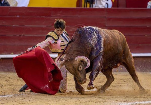 El brindis por el fracaso de Roca Rey tendrá que esperar