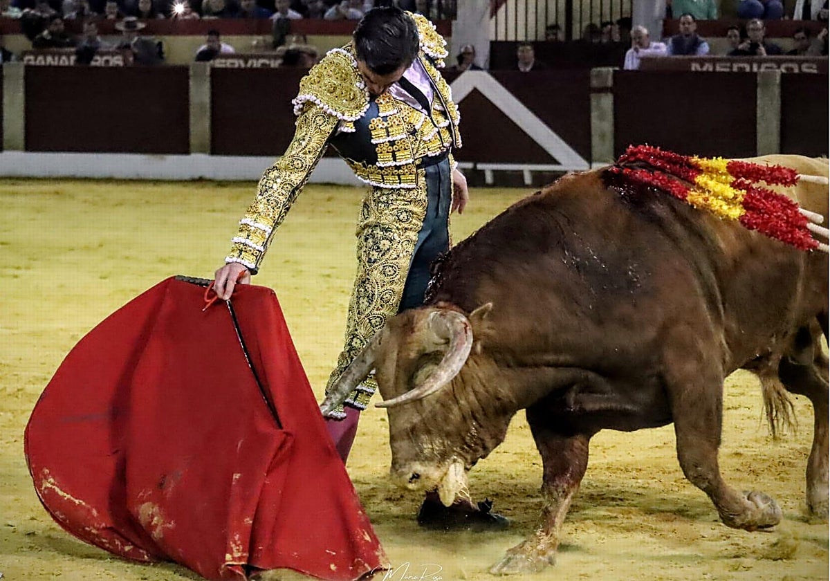 Muletazo de Juan Ortega al talentoso Sumiso de Juan Pedro Domecq, lidiado en sexto turno
