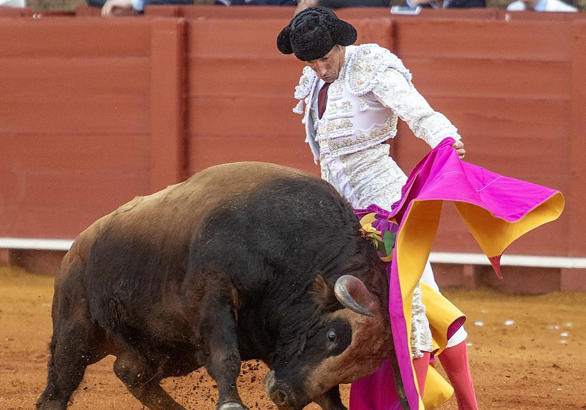 Cuánto dinero cobra un torero en España por corrida en 2025: sueldos por categoría