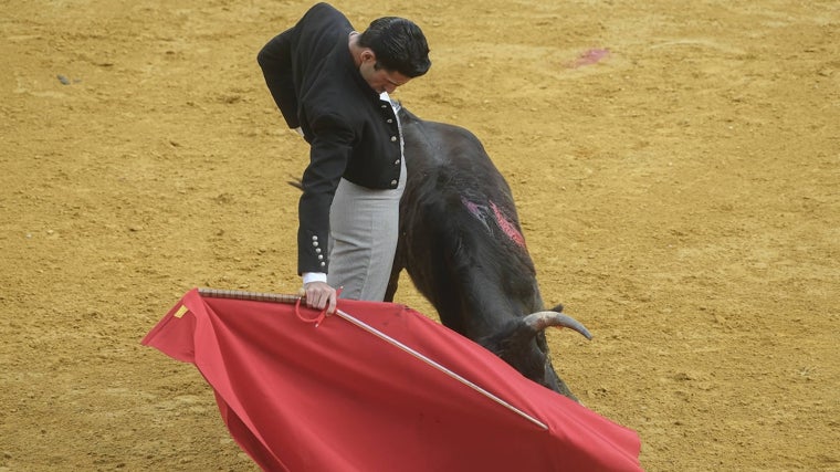 Toreo en redondo ante una brava becerra de El Parralejo