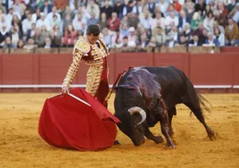 Ante la duda, la hechura: Santiago Domecq se corona en Sevilla con cuatro grandes toros, al borde de un indulto