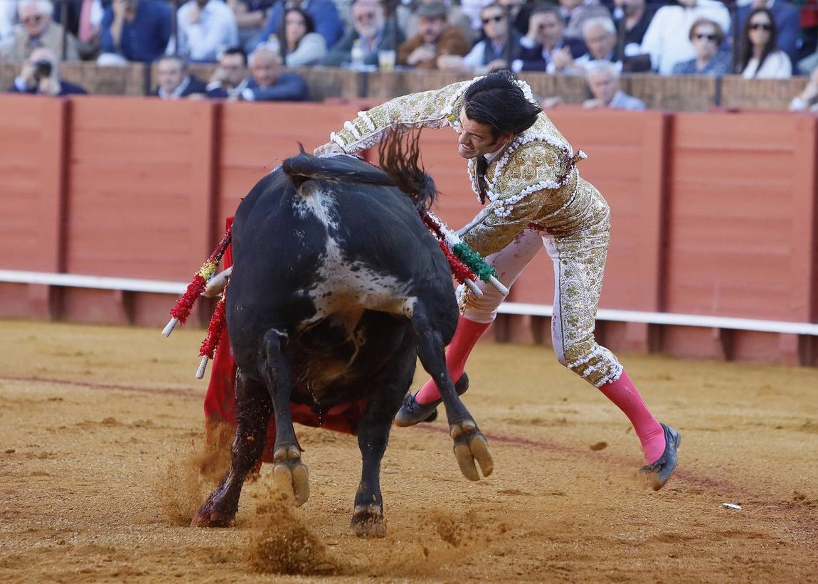 José Garrido le cortó una oreja a uno de sus toros de Santiago Domecq