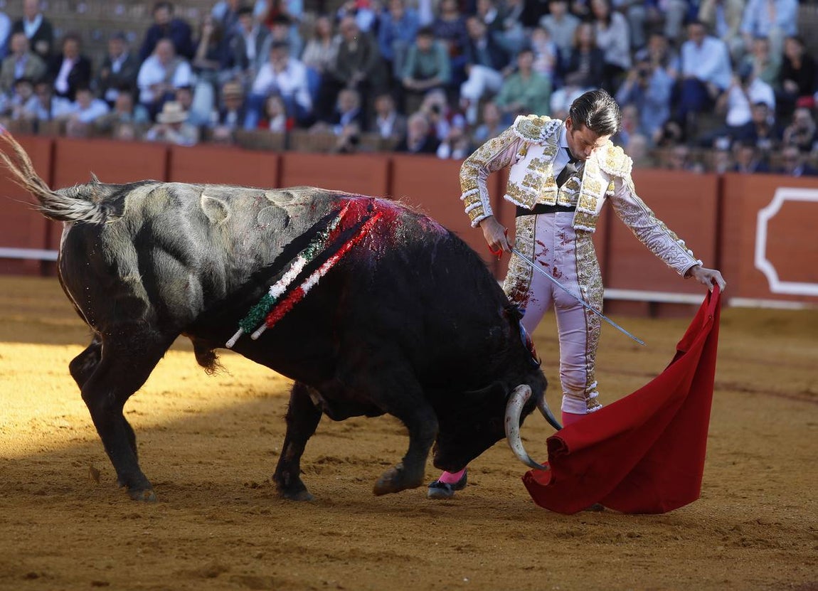 José Garrido le cortó una oreja a uno de sus toros de Santiago Domecq