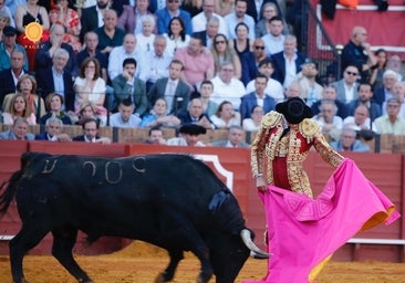 Más veedores y menos asesores artísticos: ¡vaya corridita de Juan Pedro!