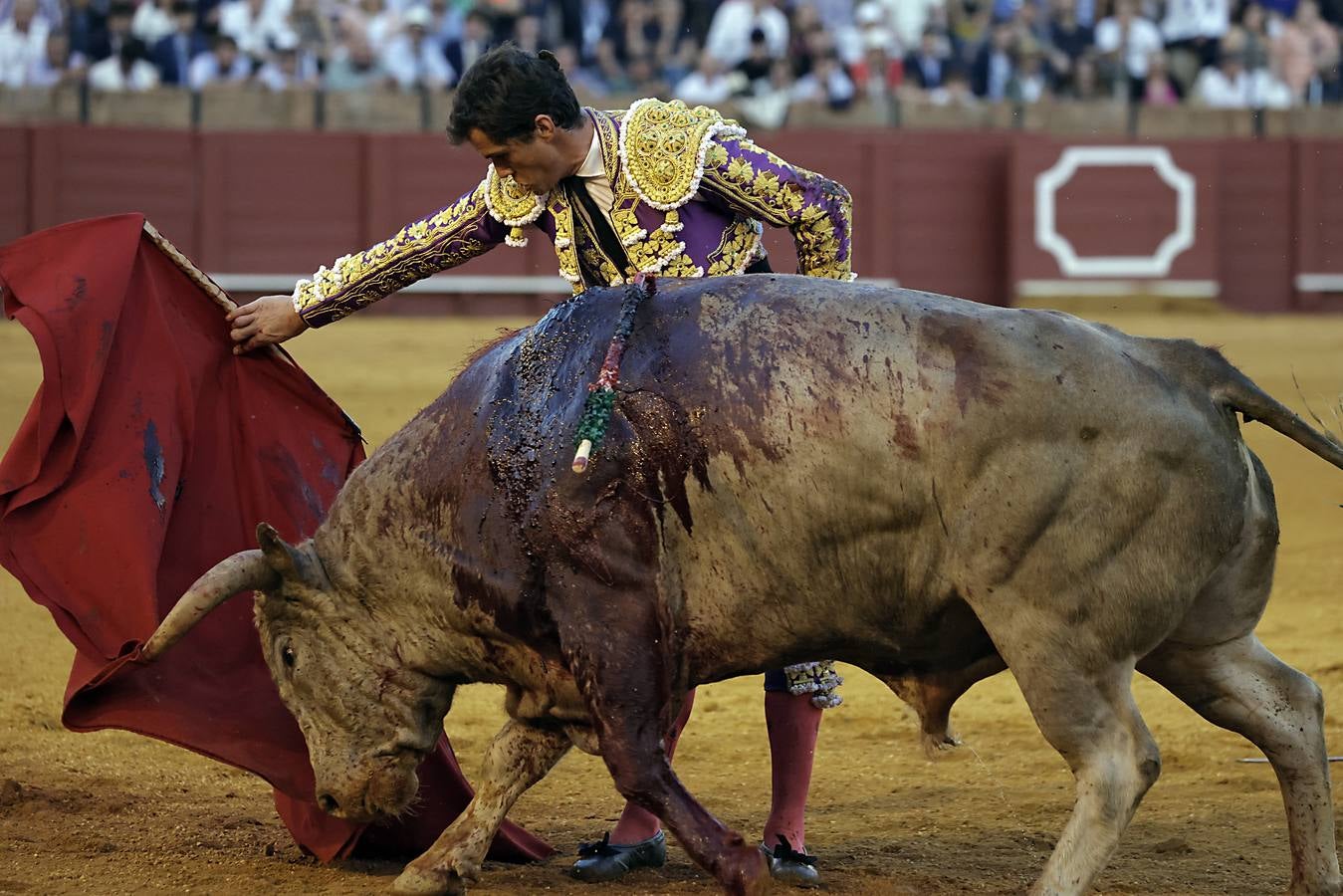 Daniel Luque fue el triunfador de la tarde al salir por la Puerta del Príncipe