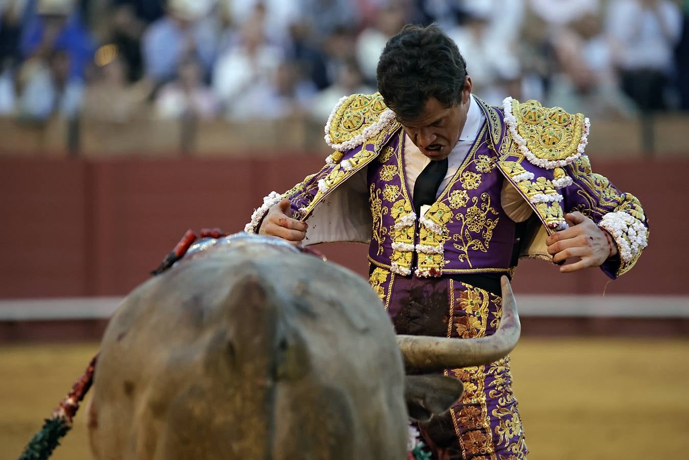 Daniel Luque fue el triunfador de la tarde al salir por la Puerta del Príncipe