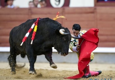 Las Ventas: las buenas maneras de Mario Navas