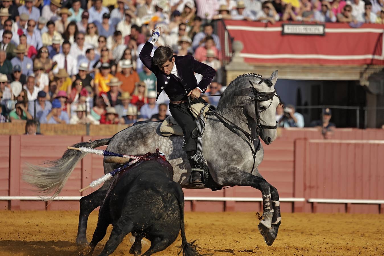 Guillermo Hermoso de Mendoza