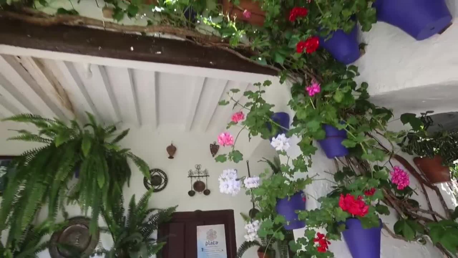 Los Patios de Córdoba y el reto del millón de visitas