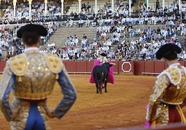 Imágenes de la novillada de este domingo en la Maestranza de Sevilla
