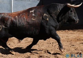 Rompeolas y Tamborilero, los toros de Morante en el estreno de San Isidro