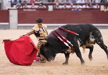 Bastonito, un toro de leyenda para cambiar una vida