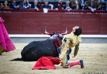 Tarde de torero grande de David Galván, que pone cara la Feria de San Isidro