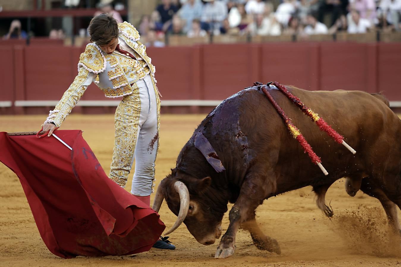 Novillada de abono en la Maestranza para Manuel Román, Javier Zulueta y Diego Bastos