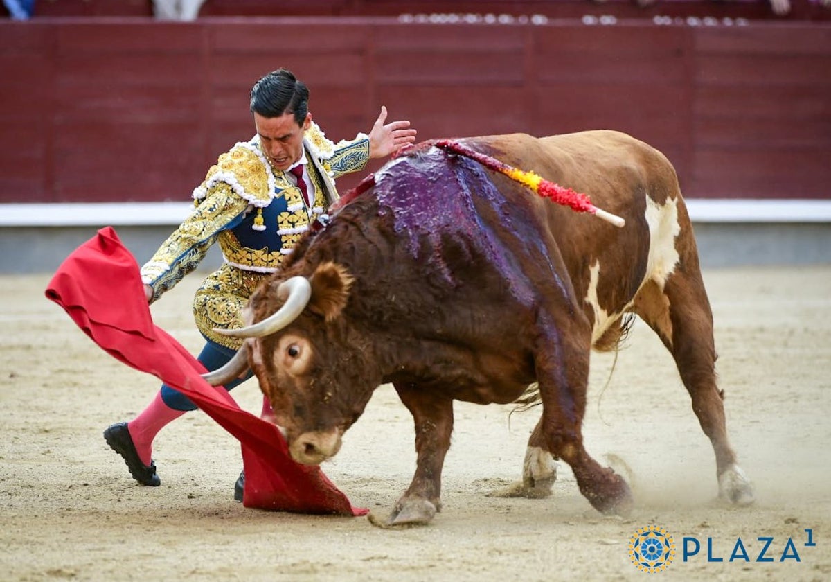 David Galván, en el epílogo de faena a Rizoso