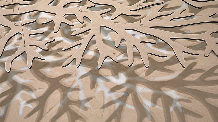 Eva Lootz. Detalle de 'Cuenca suspendida II'