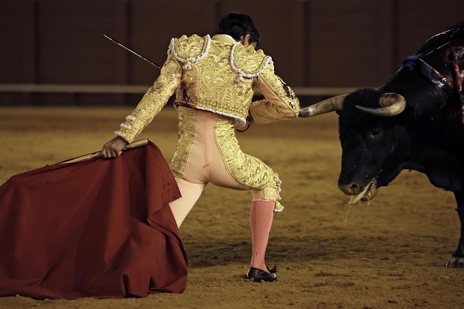 Imágenes de la novillada en la Maestranza de Sevilla de Nek Romero, Tomás Bastos y Martín Morilla