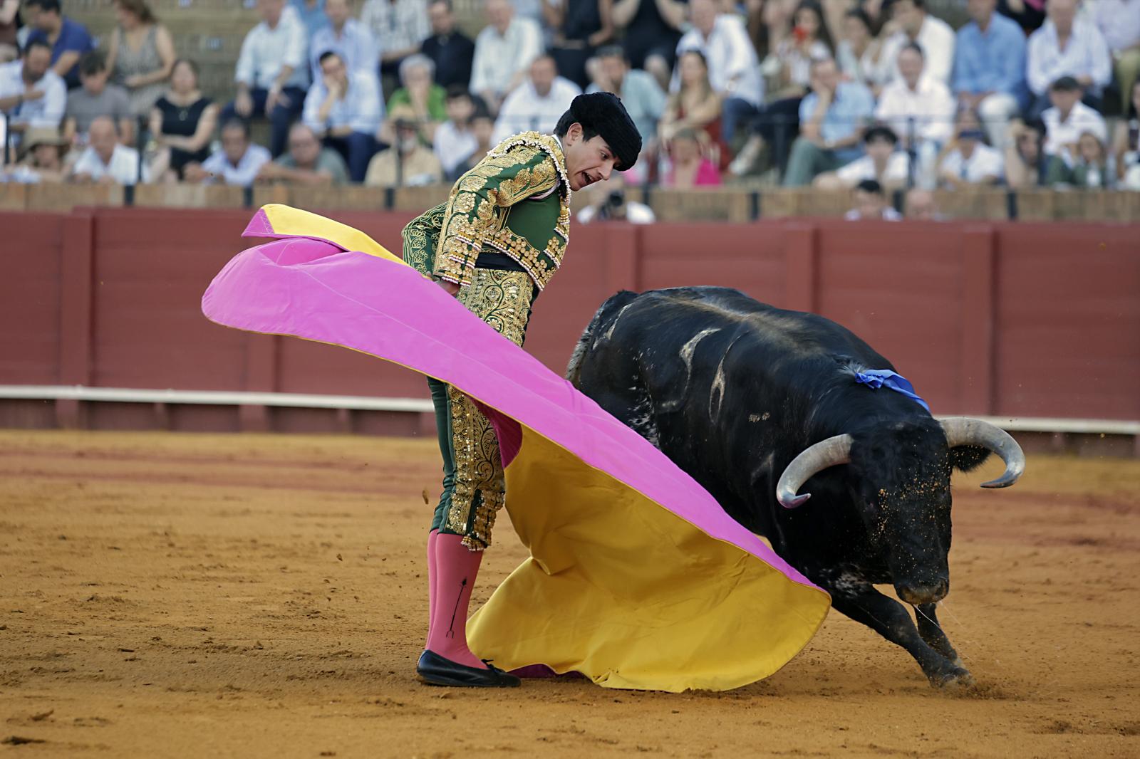 Imágenes de la novillada en la Maestranza de Sevilla de Nek Romero, Tomás Bastos y Martín Morilla