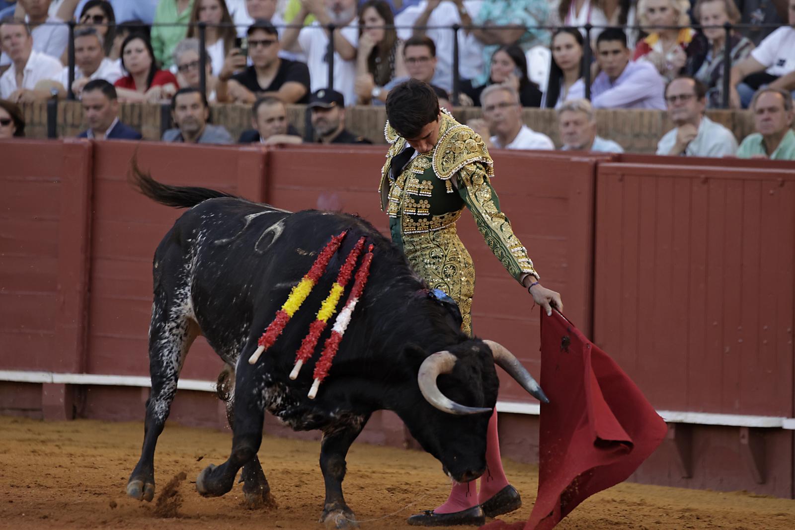 Imágenes de la novillada en la Maestranza de Sevilla de Nek Romero, Tomás Bastos y Martín Morilla