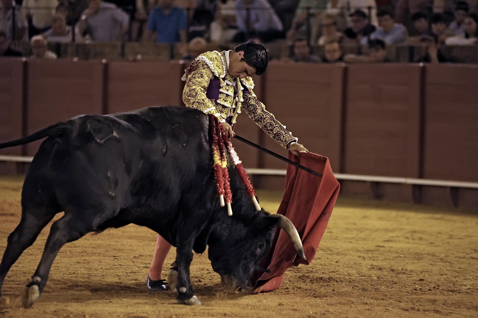 Imágenes de la novillada en la Maestranza de Sevilla de Nek Romero, Tomás Bastos y Martín Morilla