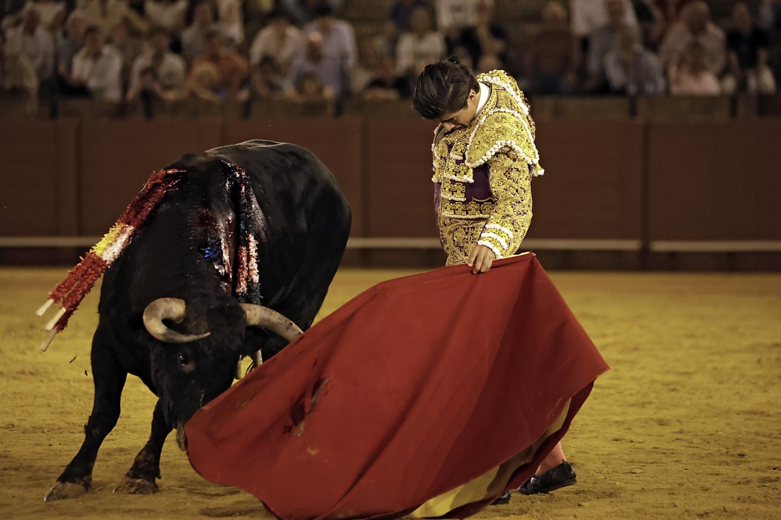 Imágenes de la novillada en la Maestranza de Sevilla de Nek Romero, Tomás Bastos y Martín Morilla