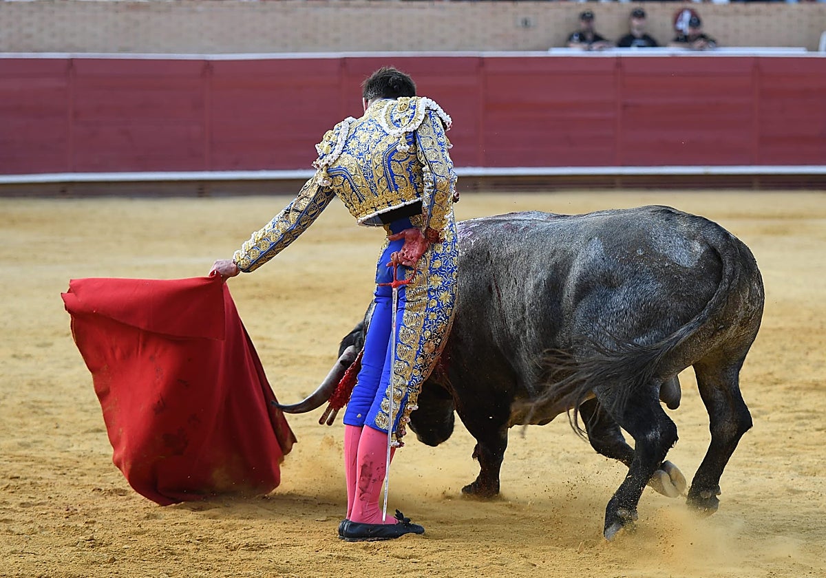 Molina con el quinto