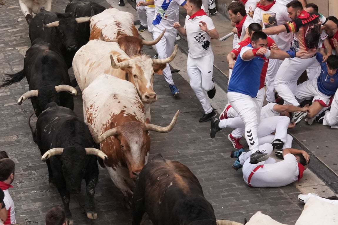 Varios corredores caídos junto a la manada