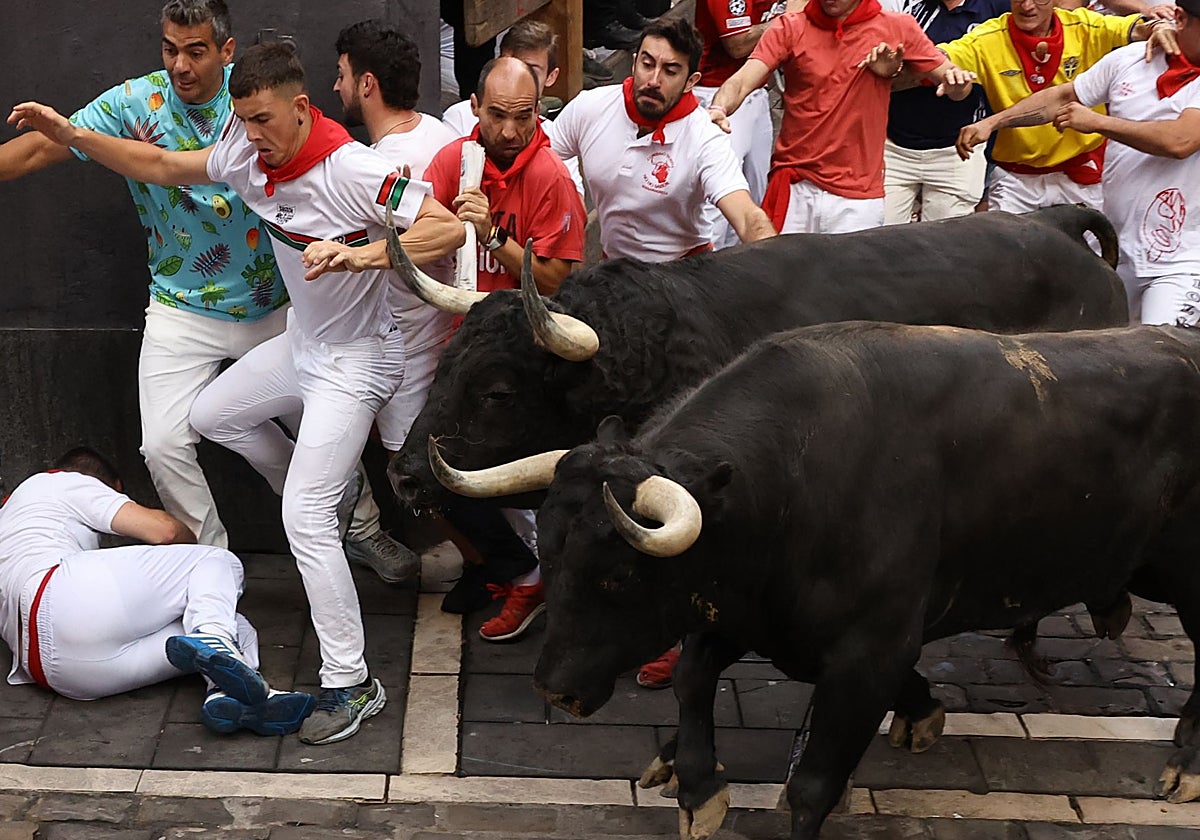 Varios mozos junto a dos astados