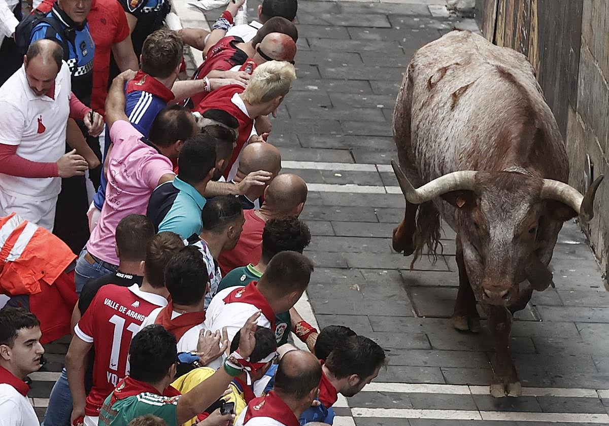 Los mozos miran el paso de uno de los toros