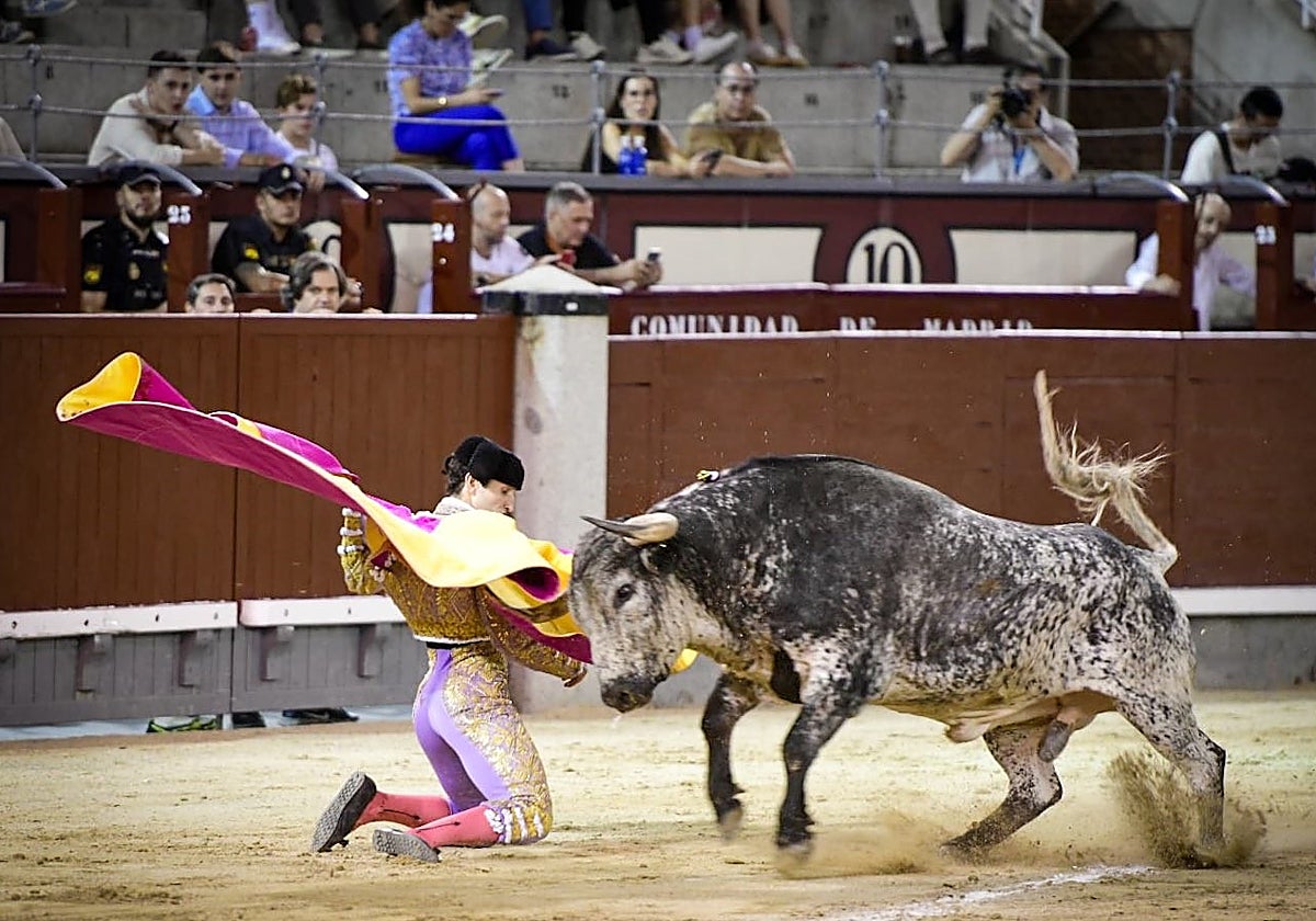 Valentín Hoyos recibiendo al quinto