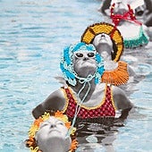 'A veces llegan cartas 2024': Unas merecidas vacaciones de postal