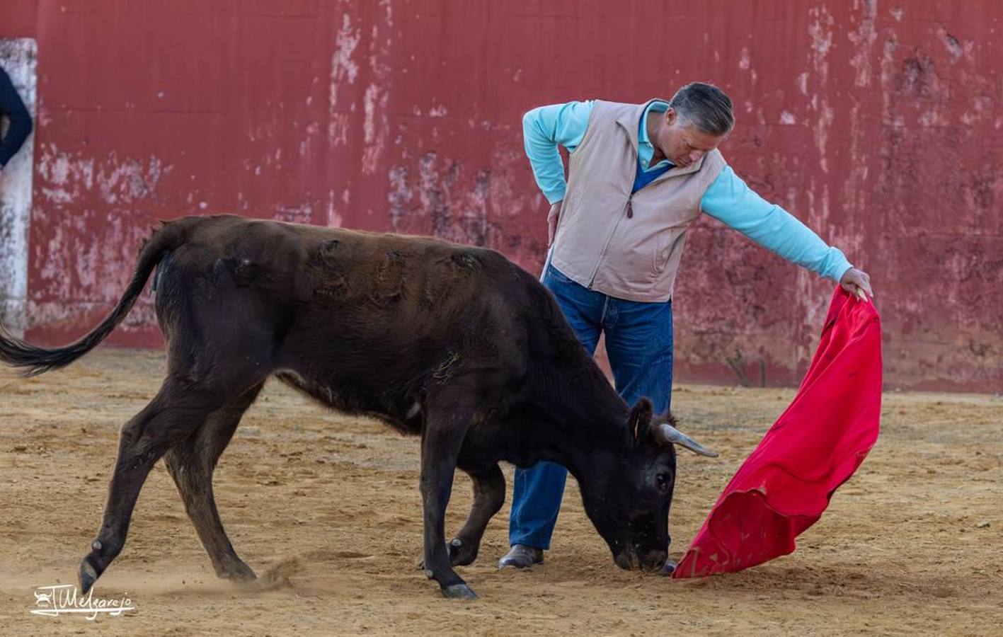 Instantáneas del último tentadero en el que participó Pepe Luis Vázquez