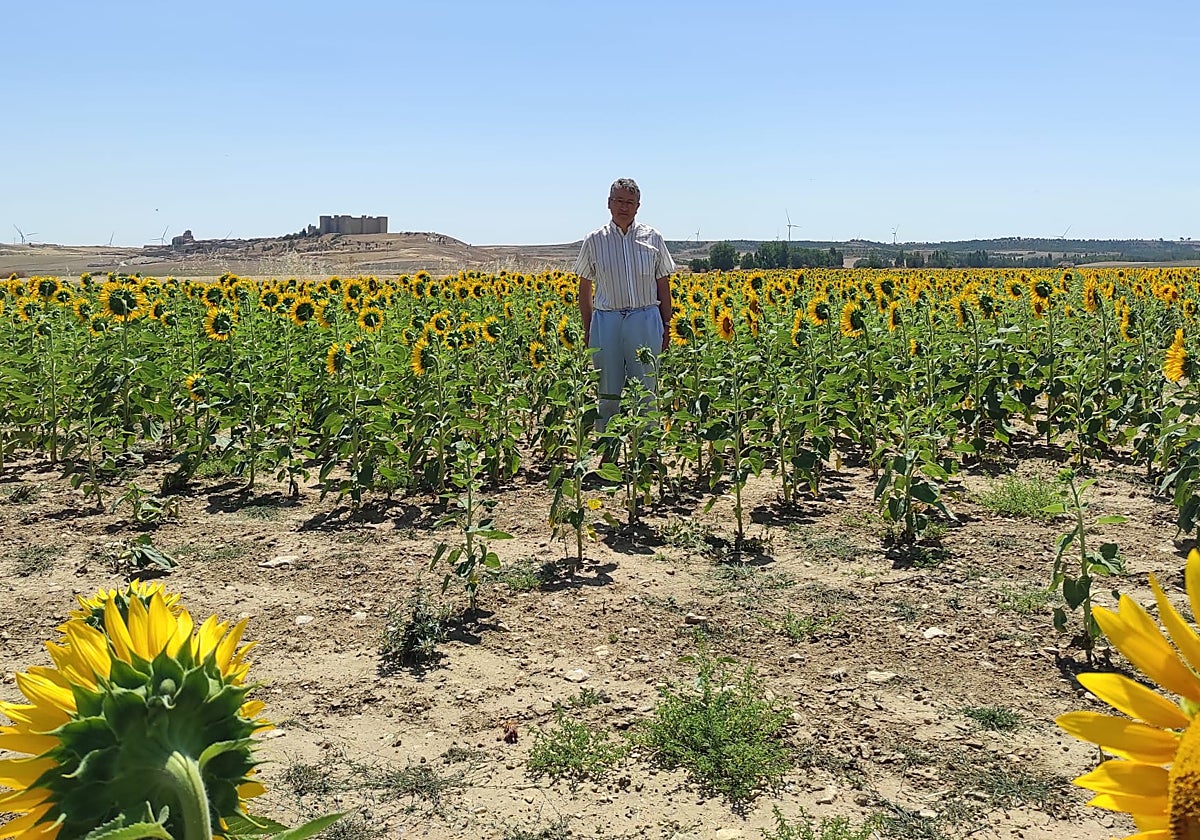 Alejandro Escribano, con los girasoles de su huerto. En realidad, son 137 hectáreas de terreno