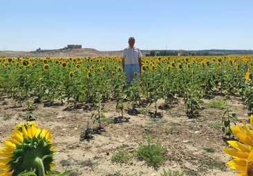 De Tierra de Campos al mundo