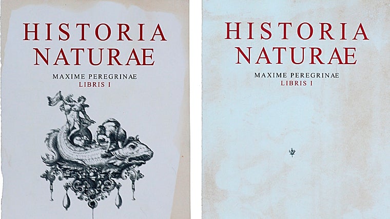 Detalle de 'sistema de los elementos'